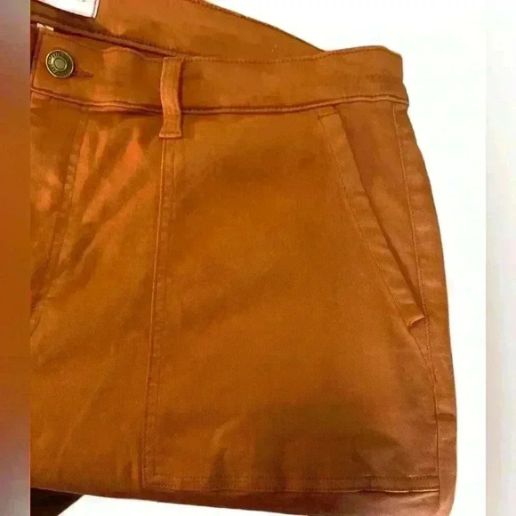 Studio Blue Rust Orange Crop Ankle Pants Size 18W - Picture 2 of 9